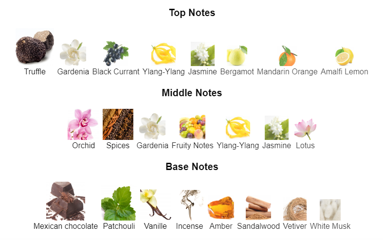 Love Drop | Inspired By Black Orchid