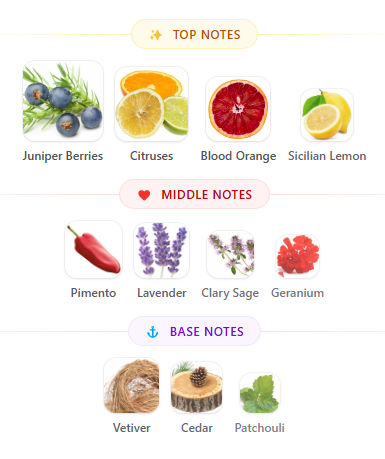 More Man | Inspired By D&G King