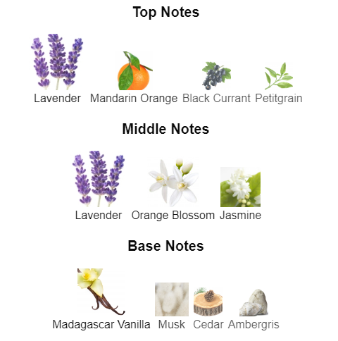 Epic Angel | Inspired By YSL Libre