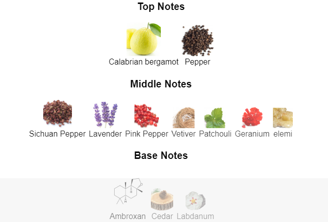 Gentle Savage | Inspired By Sauvage Dior