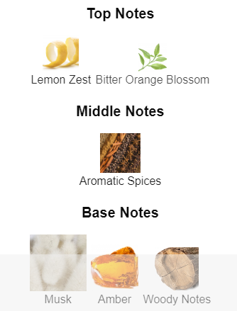 Night Shade | Inspired By Thomas Kosmala no4