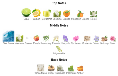 Icy Flame | Inspired By Acqua di Gio