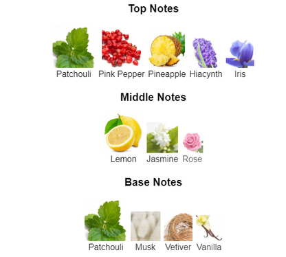 Xoom Lady | Inspired By Chanel Chance