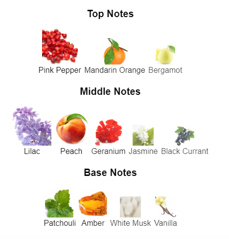 Poison | Inspired By Gucci Guilty