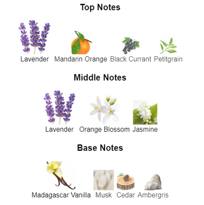 Epic Angel | Inspired By YSL Libre