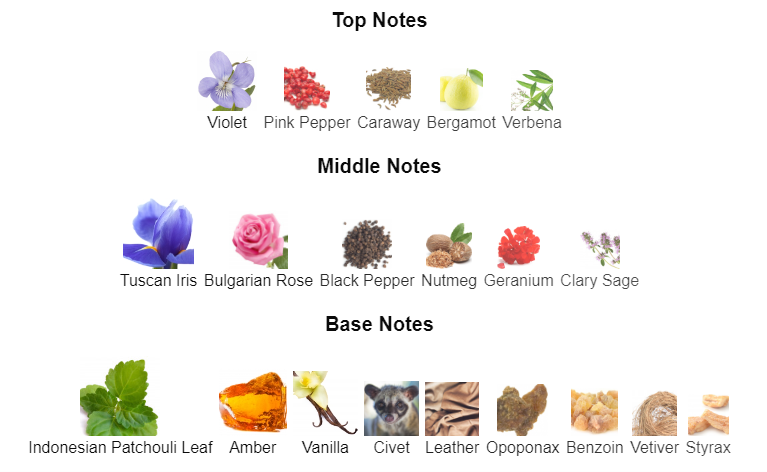 Tulip Try | Inspired By Noir TF