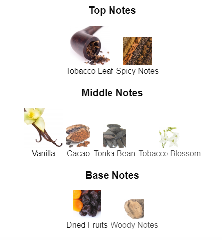 Young Cast | Inspired By Tobacco Vanille