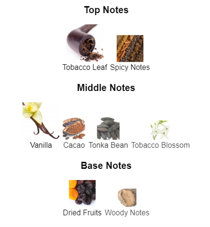 Young Cast | Inspired By Tobacco Vanille